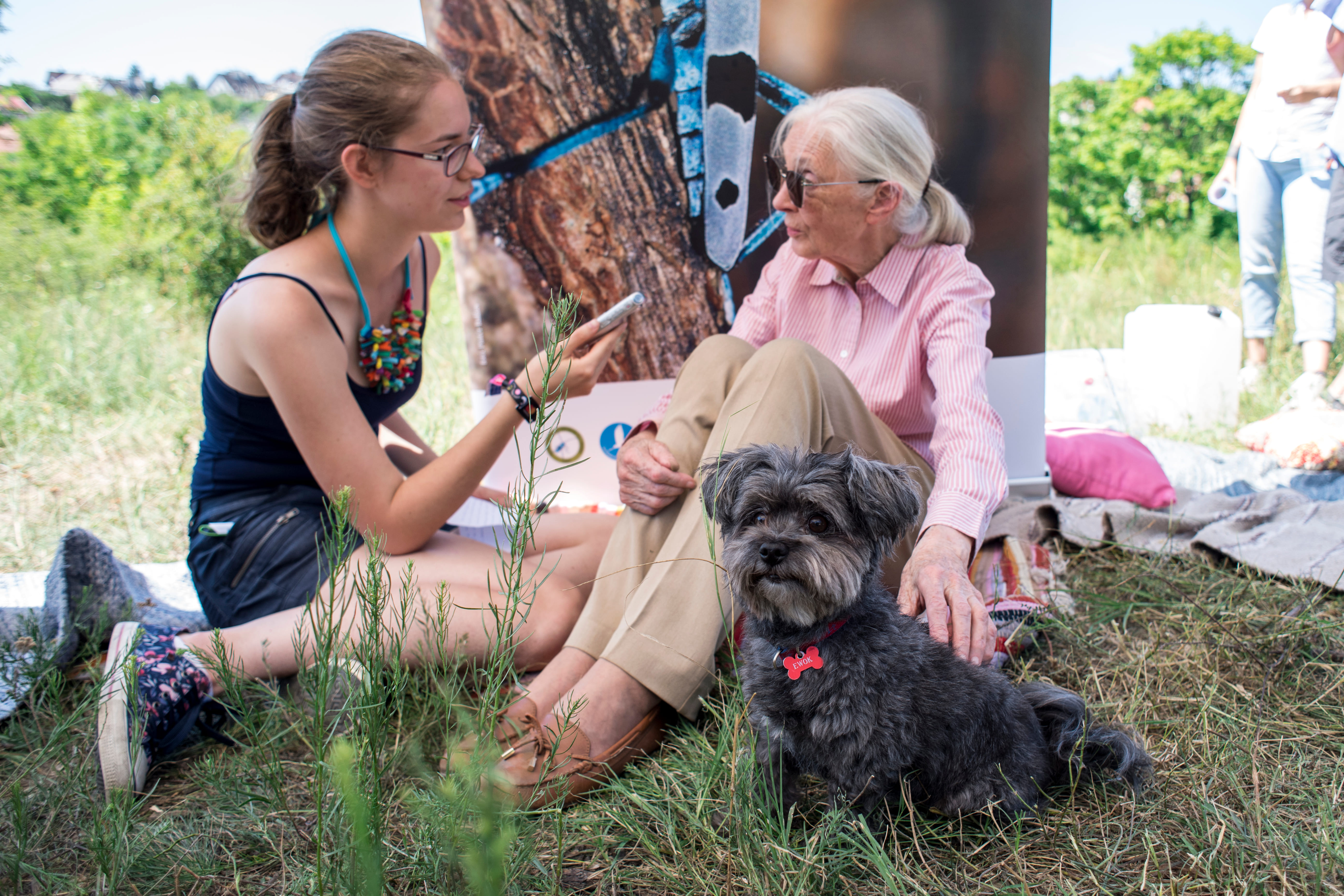 antropologia-linguistica